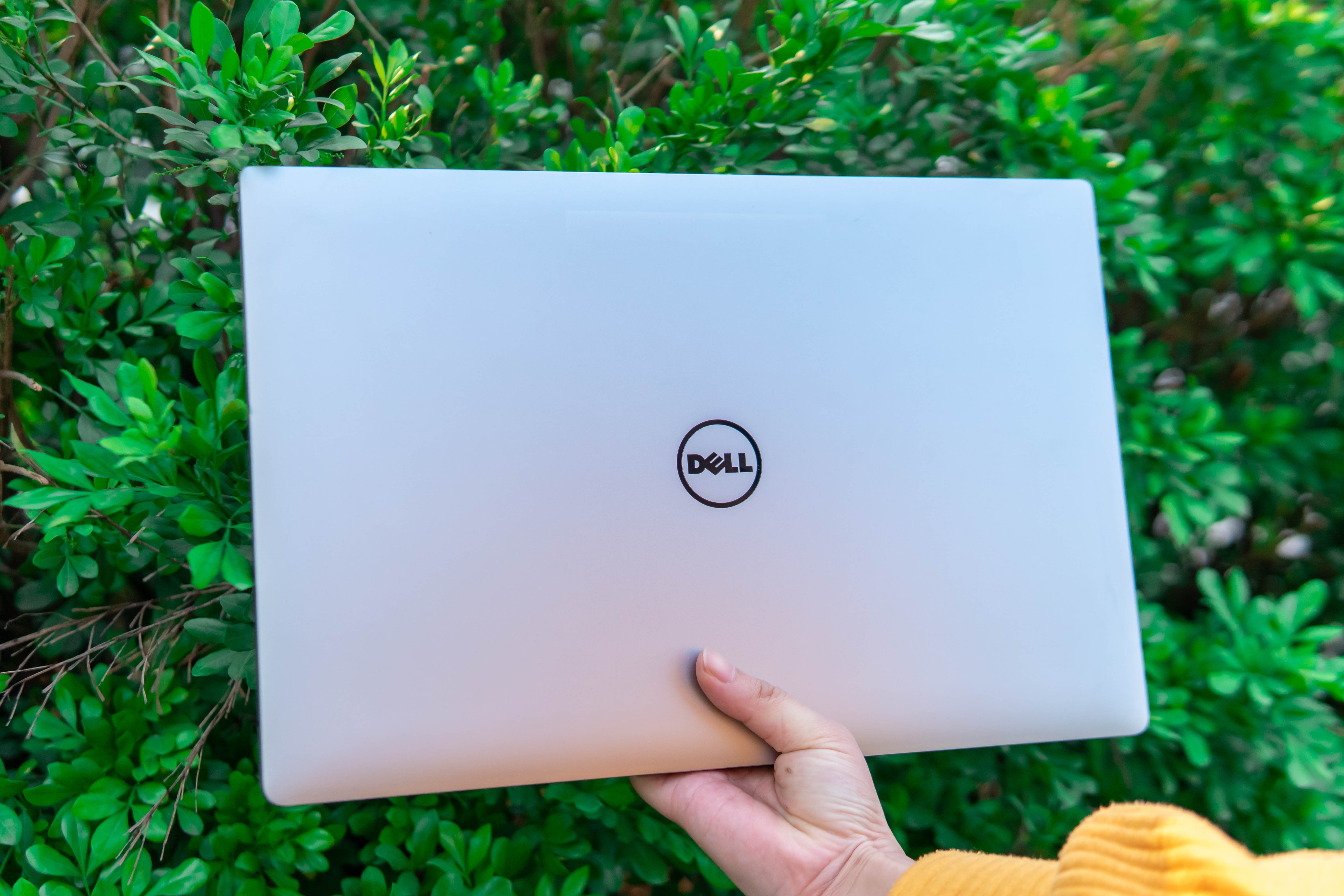 Không nên bỏ qua mẫu laptop đồ họa Dell 5530 chỉ với 4 lý do sau!