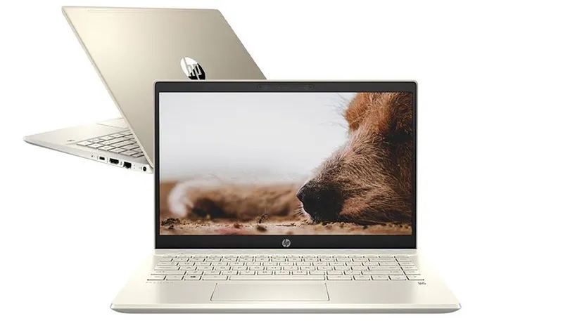 Laptop HP Envy có đặc điểm gì? Khám phá các dòng HP Envy