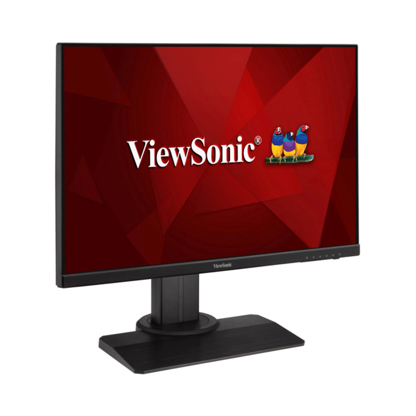 Màn Hình Viewsonic 23.8inch VG2455 (23.8inch/FHD/LED/IPS/250cd/m²/DP+HDMI/60Hz/5ms)1