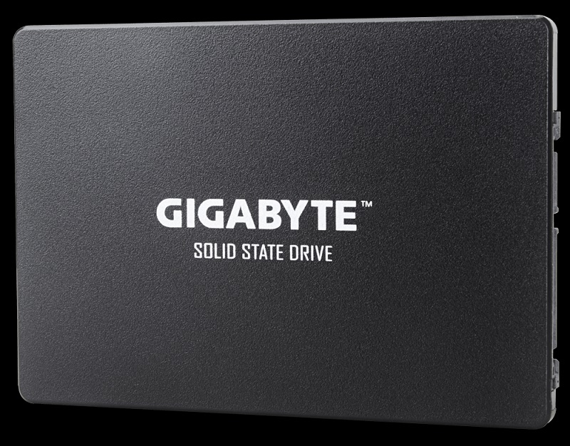 Ổ cứng SSD 256GB 2.5 Inch Gigabyte GP-GSTFS31256GTND - Hàng chính hãng1